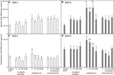 A Short-Term Response of Soil Microbial Communities to Cadmium and Organic Substrate Amendment in Long-Term Contaminated Soil by Toxic Elements